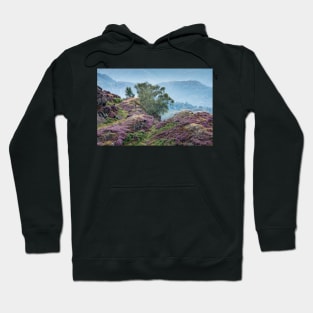 Holme Fell Heather Hoodie